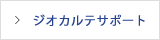 ジオカルテザポート